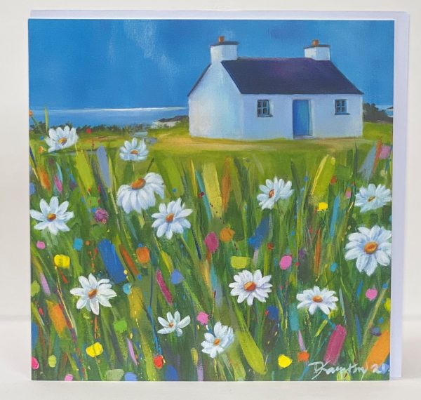 sunshine & daisies at tyn towyn cottage by anglesey artist www.deborahkempton.co.uk